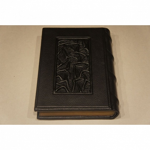 �������� ������. �� ��������� �������� �� ����� ����.