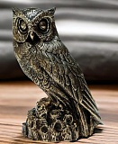 ��������� ��������� "����"