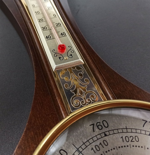 ������������ (��������)