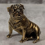 ��������� ��������� "����"