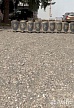 ��� ��������� ��� ��������