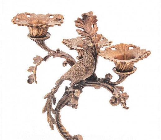 �������� ���������