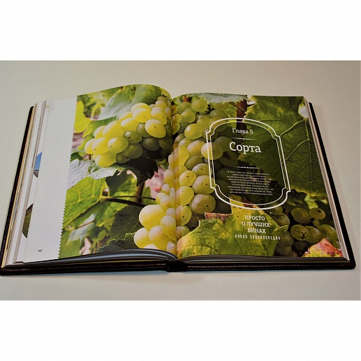 ����. ������ � ������ �����