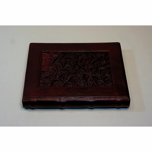 ������ ��� ������. ��������