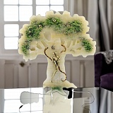 ��������� ������� "���" �� ������ ����������