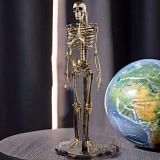 ��������� ��������� "������"