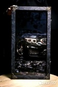 ����� ��� ������� �BMW� ������ ������