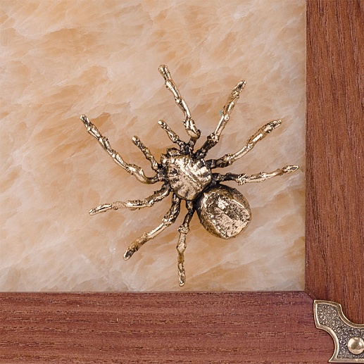 ��������� �������-����� �� ������ "����"